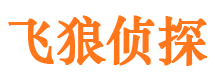 武川侦探